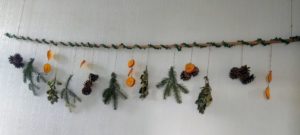 A DIY hanging decor. A bamboo cane wrapped in leaf wire. HAnging from it with twine are pine cones, pine branches, holly twigs and dried orange slices