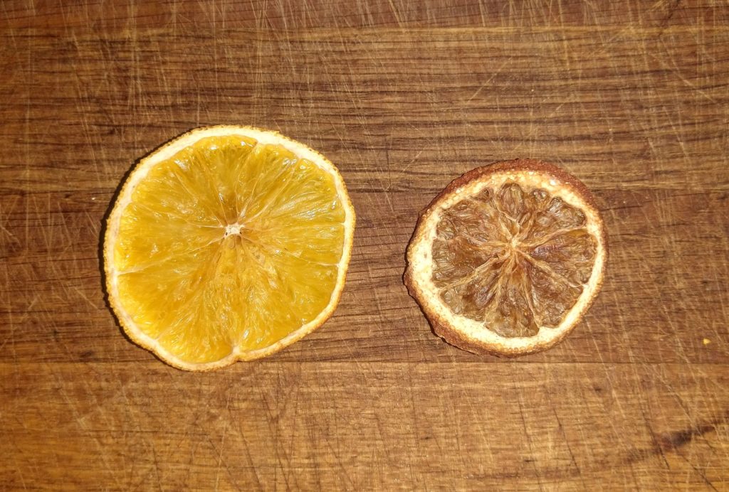 A room dried orange slice and an oven dried orange slice. THe oven is much more smaller and shrunken. The room driend orange slice is bigger and brighter 