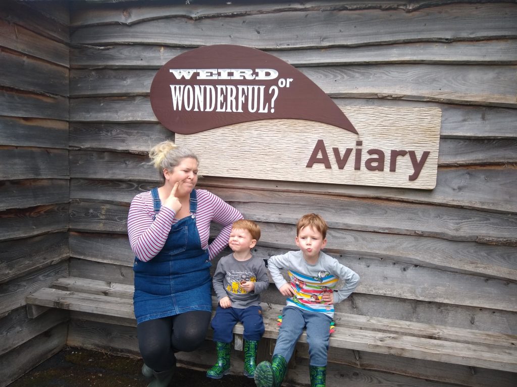 A mum in clothes that are too tight sits with her young sons and pull funny faces under a sign that reads weird or wonderful Aviay