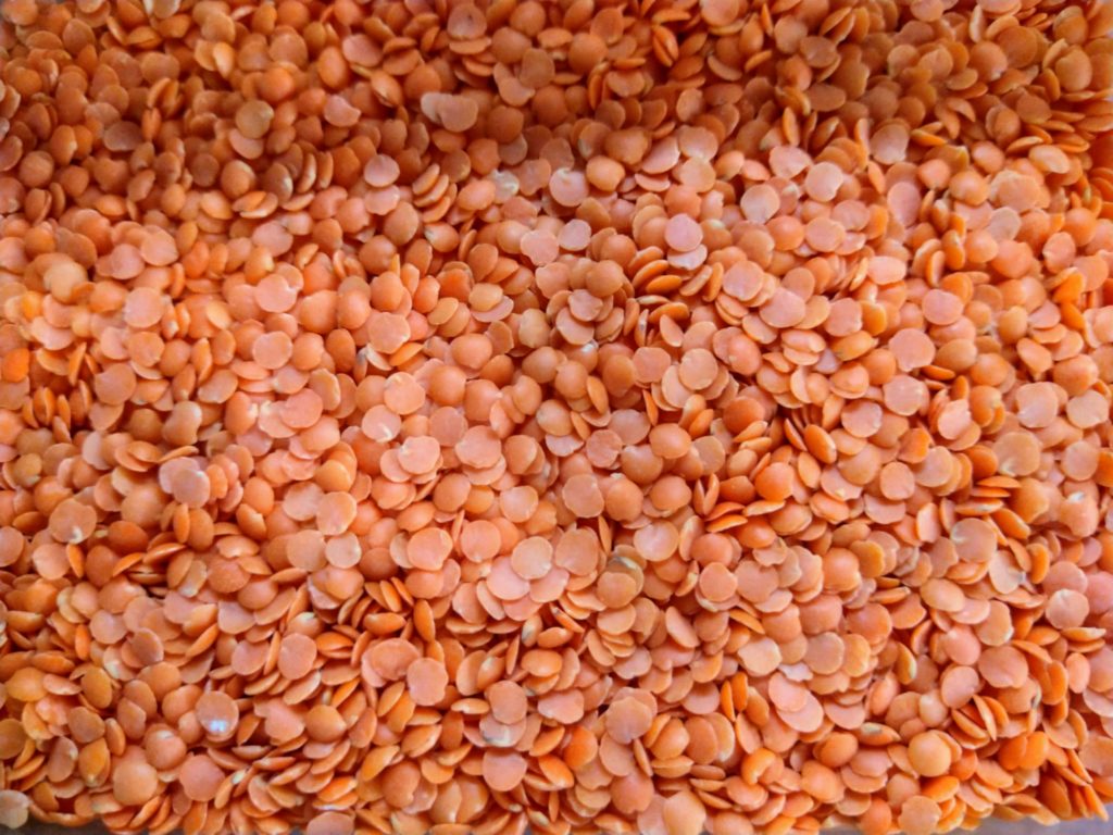 A image of lots of uncooked red lentils